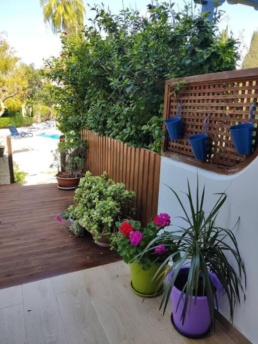 Rachel Suite By The Pool Пафос Екстериор снимка